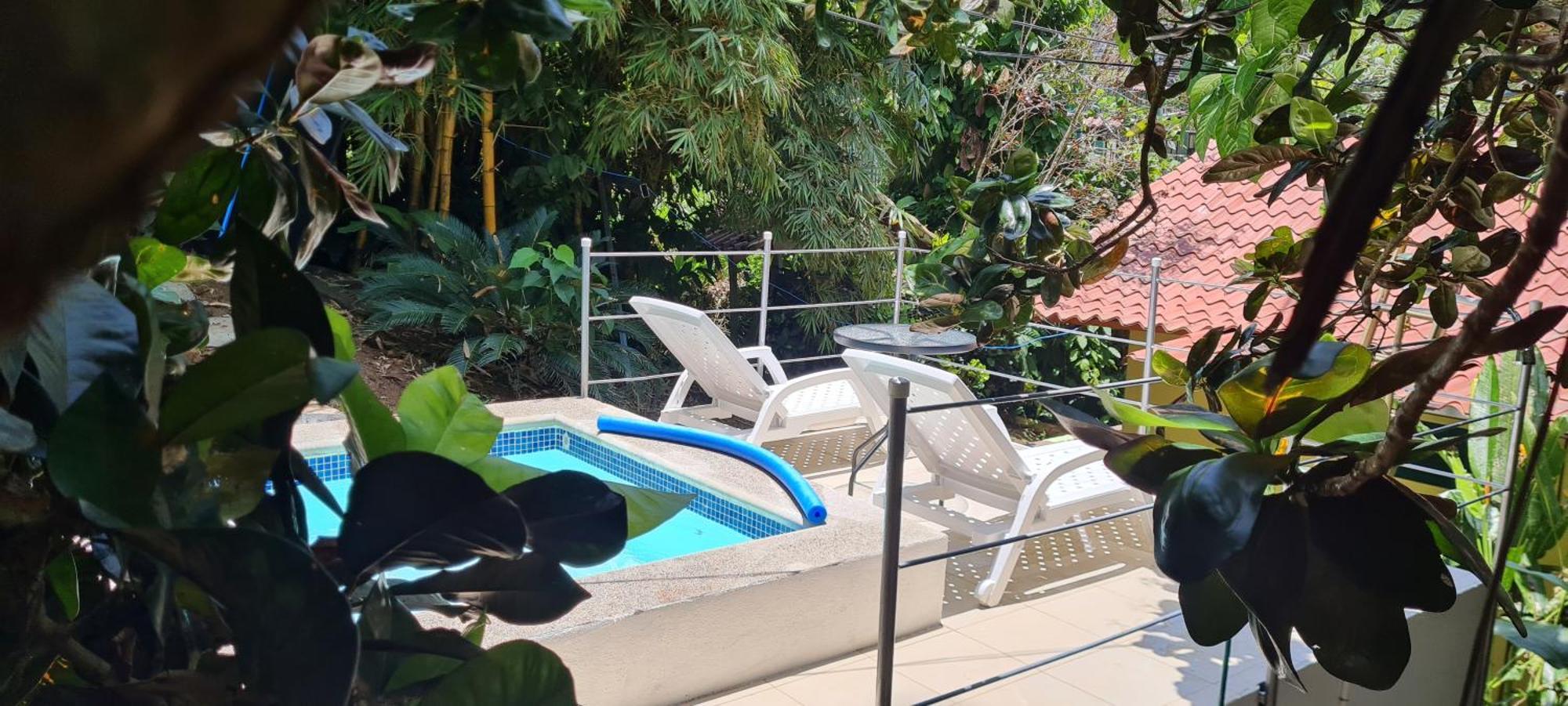 Jungle Beach Bungalow With Ac & Fiber Optic Puerto Viejo de Talamanca Екстер'єр фото